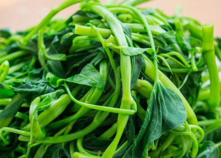 Sayur Lebih Baik di Rebus Atau di Kukus, Yuk Cari Tahu!