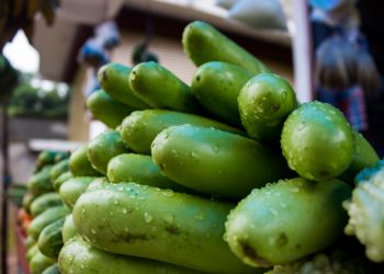 Ketahui 5 Manfaat Belimbing Wuluh bagi Kesehatan Tubuh