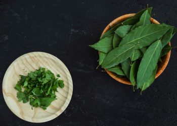Begini Cara Mengolah Daun Sirih Cina Untuk Asam Lambung