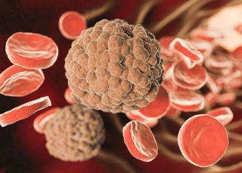 5 Cara Membersihkan Pembuluh Darah Secara Alami, Salah Satunya Hindari Rokok