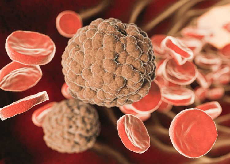 5 Cara Membersihkan Pembuluh Darah Secara Alami, Salah Satunya Hindari Rokok