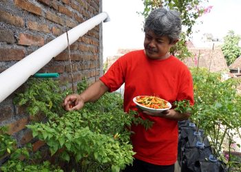 Strategi Jaga Ketahanan Pangan, Pemkot Bengkulu Galakkan Gerakan Menanam Mandiri