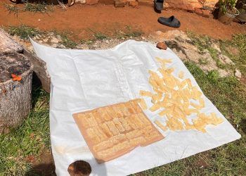 15 Tahun Bertahan, Emping Tradisional Rasmawati Jadi Sumber Rezeki