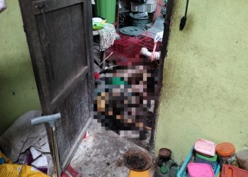Diduga Meninggal Sejak Beberapa Hari Lalu, Nenek di Kepahiang Ditemukan Tewas Membusuk di Dalam Rumahnya