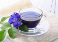 Teh Bunga Telang Minuman Cantik dengan Segudang Khasiat