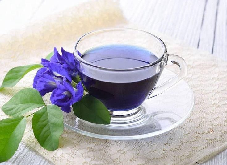 Teh Bunga Telang Minuman Cantik dengan Segudang Khasiat
