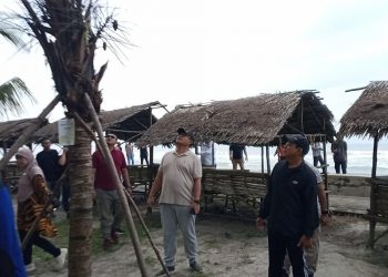 Program Gempala Berhasil, Ribuan Pohon Kelapa Mulai Tumbuh di Pantai Panjang