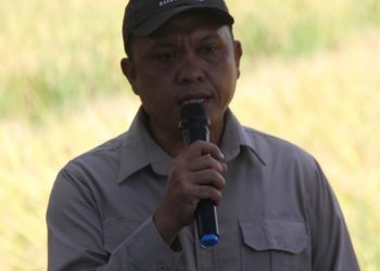 Dongkrak Produksi Padi, Kabupaten Lebong Gunakan Rp13,6 Miliar dari Kementan untuk Perbaiki Saluran Irigasi