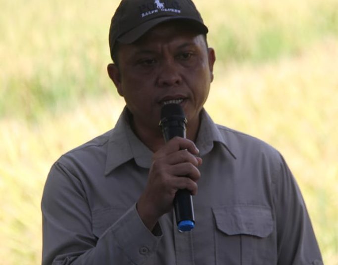 Dongkrak Produksi Padi, Kabupaten Lebong Gunakan Rp13,6 Miliar dari Kementan untuk Perbaiki Saluran Irigasi