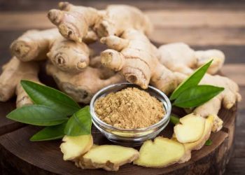 Bisa Mengatasi Asma, 7 Manfaat Kunyit Putih Untuk Kesehatan