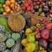 8 Buah-buahan Tropis Paling Digemari Bule Saat Berkunjung Ke Indonesia