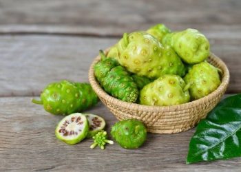 7 Manfaat Mengkudu bagi Kesehatan, Buah Pahit yang Punya Segudang Khasiat