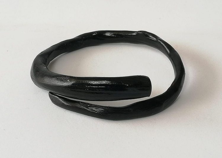 Ketahui Khasiat dan Manfaat Akar Bahar Simak Faktanya