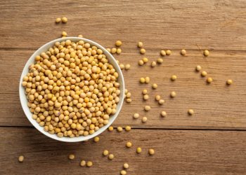 Kacang Kedelai: Superfood Alami dengan Segudang Manfaat Kesehatan