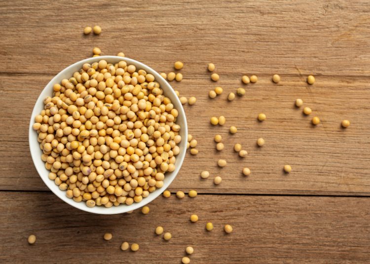 Kacang Kedelai: Superfood Alami dengan Segudang Manfaat Kesehatan