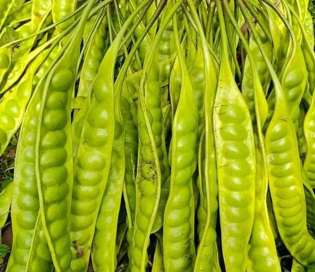 7 Manfaat Luar Biasa Konsumsi Petai Bagi Pria