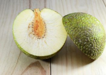 Ketahui Segudang Manfaat Buah Sukun: Murah, Enak, dan Kaya Nutrisi