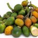 Simak Manfaat Buah Pinang untuk Kesehatan