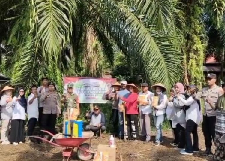 Bersamaan Program Jagung 1 Hektar, Desa Talang Sebaris Alokasikan DD untuk Penggemukan Sapi Bali dan Pengembangan Kambing