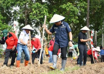 Implementasi Sadesahe, Wali Kota Dedy Wahyudi Tanam Jagung Bersama Warga, Dorong Optimalisasi Lahan Tidur Kota