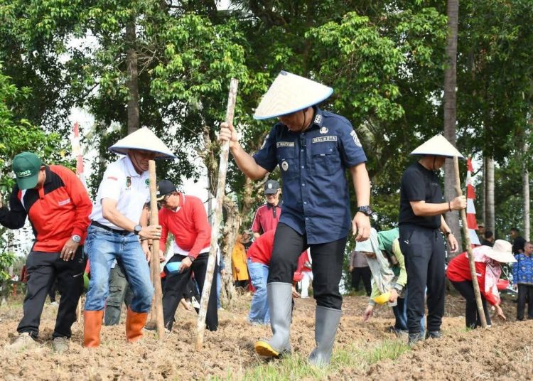 Implementasi Sadesahe, Wali Kota Dedy Wahyudi Tanam Jagung Bersama Warga, Dorong Optimalisasi Lahan Tidur Kota