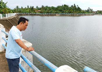 Perkuat Wisata Alam, Desa Batu Lambang Siap Tebar Bantuan 10 Ribu Bibit Ikan di Tebat Gelumpai