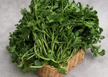 Selada Air: Sayuran Sederhana dengan Segudang Khasiat