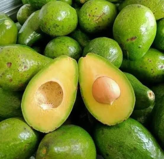 7 Khasiat Buah Alpukat untuk Lansia, Sehat, Lezat, dan Kaya Nutrisi