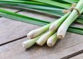 Bukan Sekadar Bumbu, Inilah Manfaat Serai bagi Kesehatan