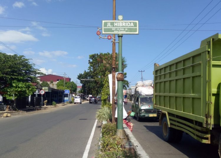 Dukung Program Bengkulu Bisa, DLH Bengkulu Mulai Penataan Lahan dan Pemasangan Casting Taman Jalan Hibrida