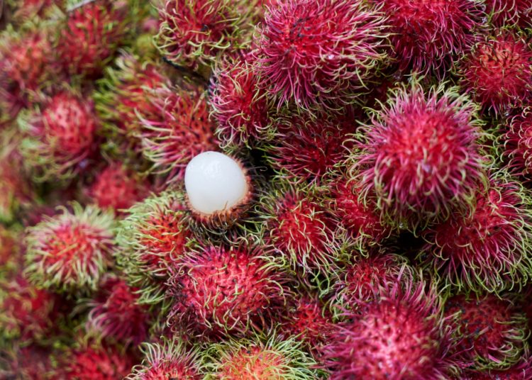 Netizen Hebon Belum Icip Rambutan di 2025, Ini Dia Penyebabnya