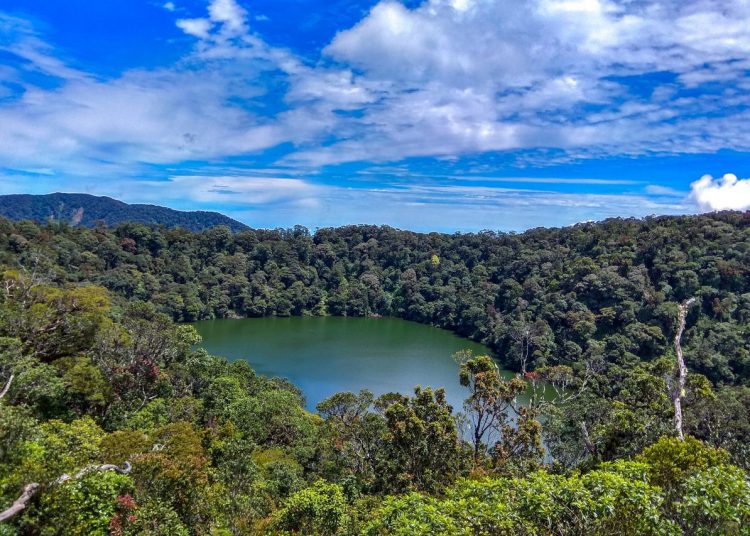Menyusuri Keindahan Bukit Daun, Surga Tersembunyi di Bengkulu