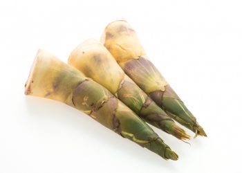 Orang Bengkulu Suka Rebung, Yuk, Ketahui Manfaatnya Untuk Kesehatan