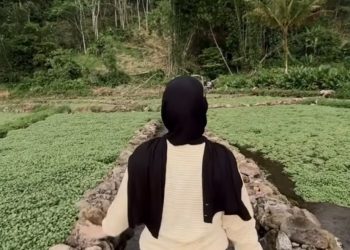 Ini Dia Lokasi dan Harga Tiket Wisata Baru Kolam Selada di Kepahiang