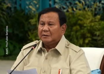 Presiden Prabowo Ingin Papua Ditanami Sawit, Ini Alasannya