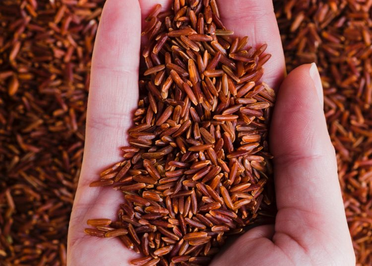 Yuk, Cari Tahu Jenis Beras Apa Saja yang Miliki Kalori Rendah dan Cocok Untuk Diet