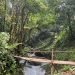 Wisata Curug Papat, Permata Tersembunyi di Rejang Lebong