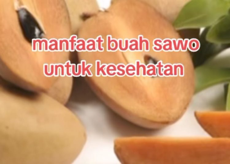 Ketahui Beragam Manfaat Buah Sawo Untuk Kesehatan Tubuh