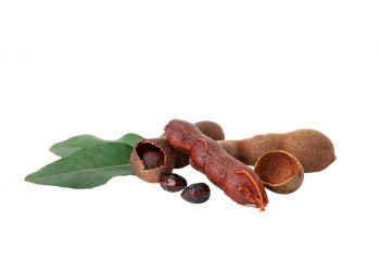 Yuk Ketahui 5 Manfaat Penting Daun Pohon Asam Untuk Kesehatan Tubuh