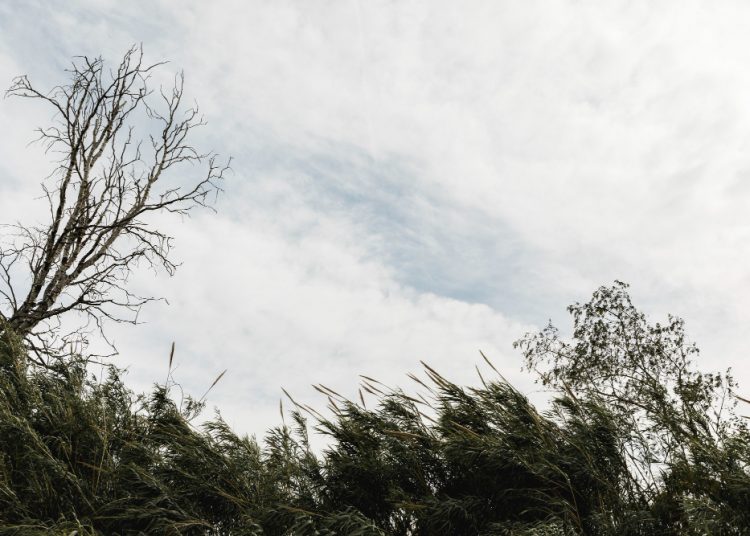 Angin Kencang di Bengkulu Bikin Resah, Kamu Wajib Baca Doa Ini