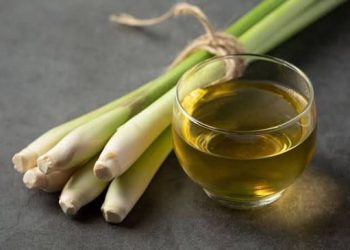 Inilah 5 Manfaat Rebusan Daun Serai, Aromanya Menenangkan Tubuh dan Pikiran