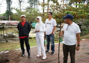 Pemkot Bengkulu Benahi Kawasan Pasir Putih, Pondok Usang Dibongkar Diganti Gazebo