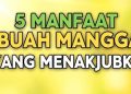 Ini Dia 5 Manfaat Buah Mangga yang Menakjubkan
