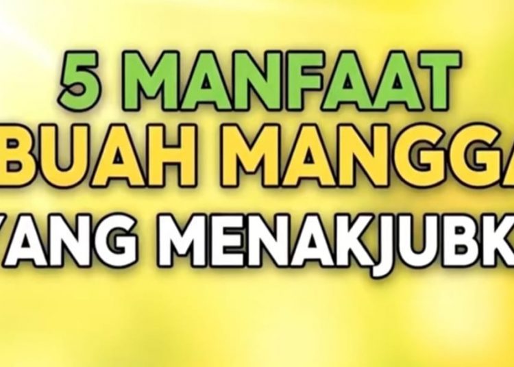 Ini Dia 5 Manfaat Buah Mangga yang Menakjubkan