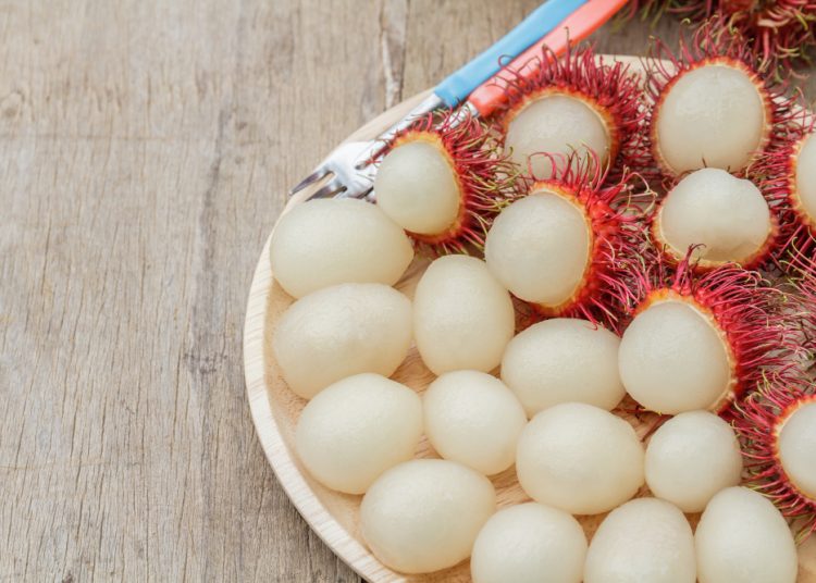 Dibuang Sayang, Ternyata Kulit Rambutan Bisa Dijadikan Pupuk Organik Begini Caranya