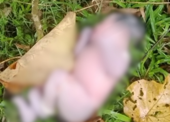 Geger! Bayi Perempuan Berbobot 3 Kg Ditemukan Hidup di Bawah Jembatan Padang Guci
