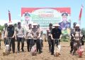 Desa Tanah Hitam Bengkulu Utara Sabet Juara I Lomba Jagung, Dapat Rp 1 Miliar!