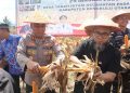Kapolda Bengkulu Panen Raya Jagung di Bengkulu Utara, Desa Tanah Hitam Juara SADESAHE Raih Rp1 Miliar