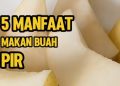 Kenali Lima Manfaat Makan Buah Pir Secara Rutin Untuk Kesehatan