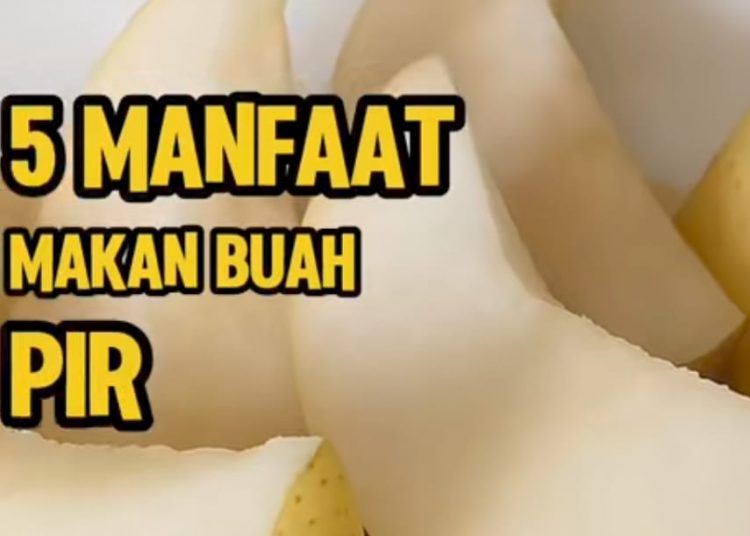 Kenali Lima Manfaat Makan Buah Pir Secara Rutin Untuk Kesehatan